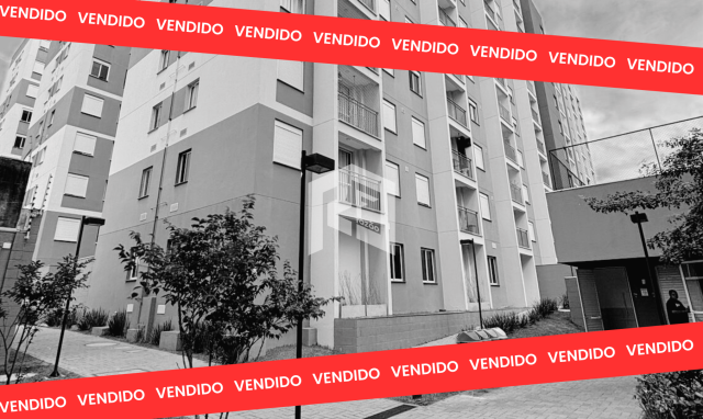 Vivaz Socorro (VENDIDO)