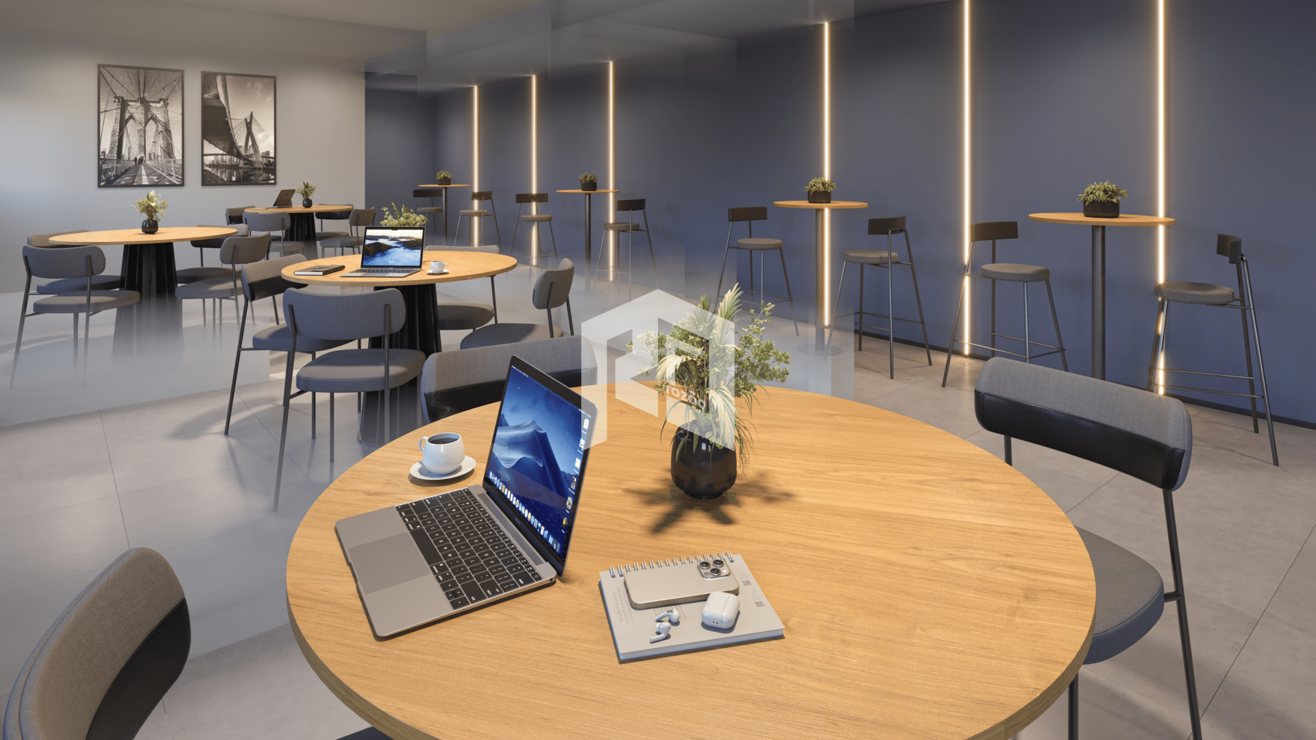 Vivaz Connection Adolfo Pinheiro