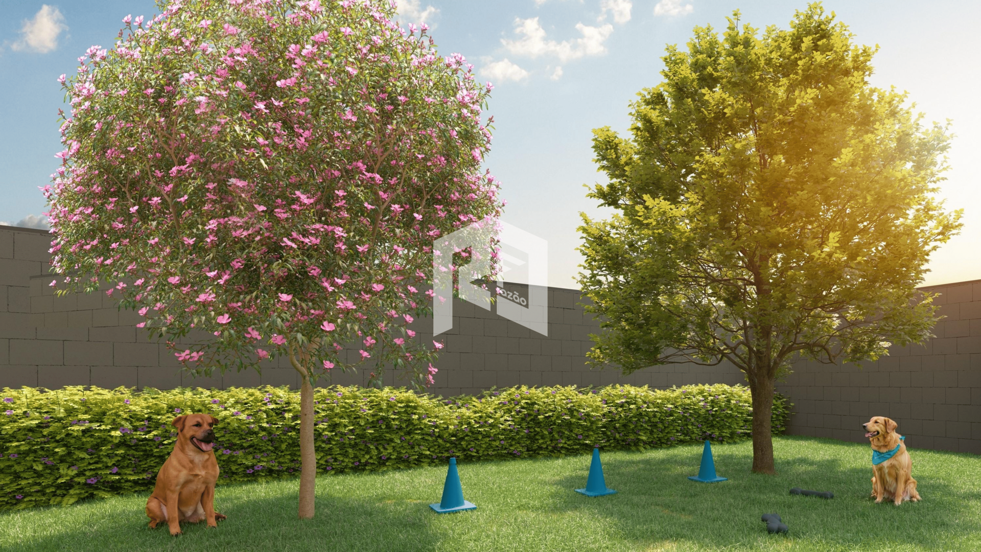 Vivaz Connection Adolfo Pinheiro